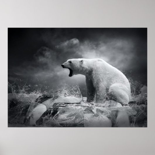 Poster Chasseur d'ours blanc sur la glace dans l'eau (Devant)