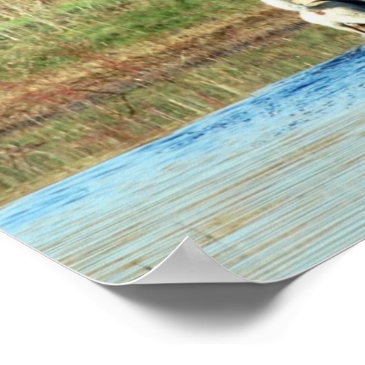 Poster Chasseur junior (Coin)