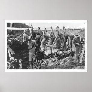 Poster Chasseurs Alaska 1928 de caribou