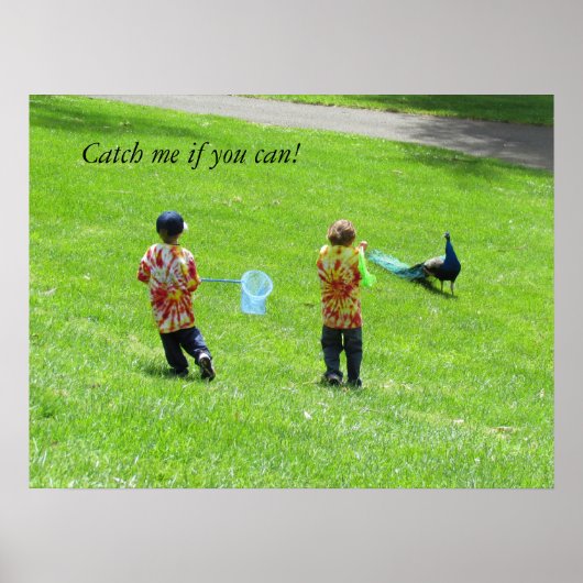 Poster - Chasseurs de paon (Devant)