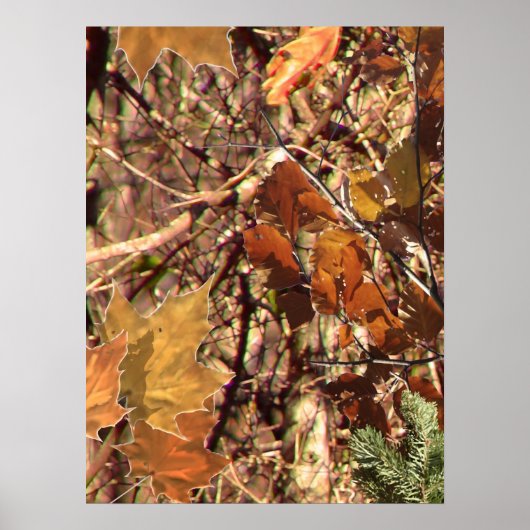 Poster Chasseur's Fall Nature Camouflage Décor de peintur (Devant)