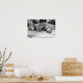 Poster chat (Cuisine)