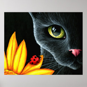 Poster Chat 510