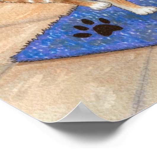 Poster Chat 538 (Coin)