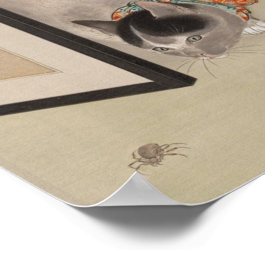 Poster Chat à regarder une araignée | Oide Tōkō (Coin)