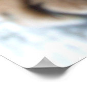 Poster Chat Aby bleu dormant en bleu (Coin)