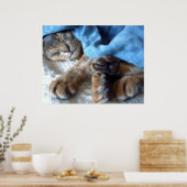 Poster Chat Aby bleu dormant en bleu (Cuisine)