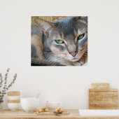 Poster Chat Abyssin Grands Yeux Bleus Verts (Cuisine)