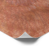 Poster Chat abyssinien (Coin)