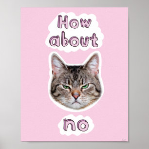Poster Chat agacé