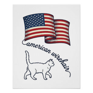 Poster Chat américain à poil dur patriotique Design vinta