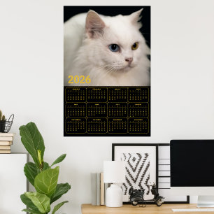 Poster Chat angora avec hétérochromie – Calendrier 2026