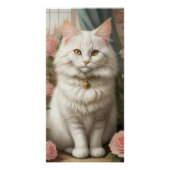 Poster Chat Angora turc (Devant)