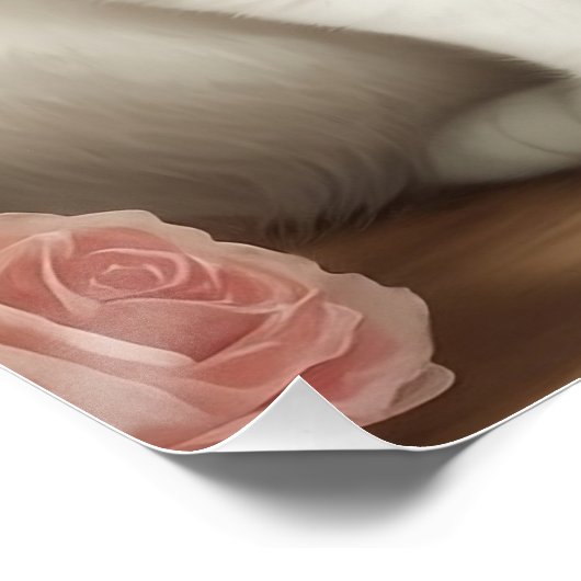 Poster Chat Angora turc (Coin)