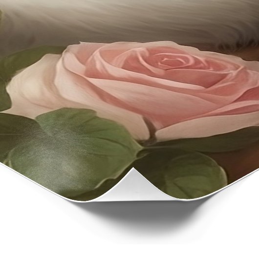 Poster Chat Angora turc (Coin)