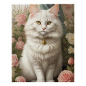 Poster Chat Angora turc (Devant)