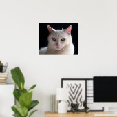 Poster Chat Angora turc aux yeux obscurs (Bureau à domicile)
