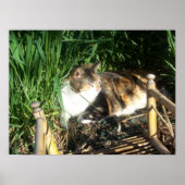 Poster Chat assis dans l'herbe Imprimer (Devant)