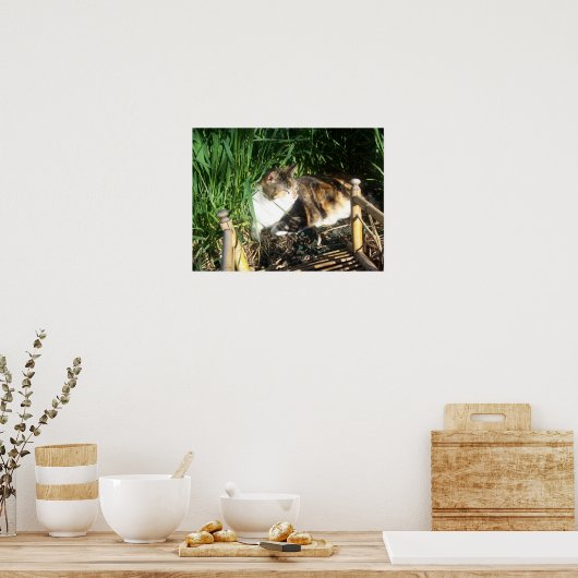 Poster Chat assis dans l'herbe Imprimer (Cuisine)