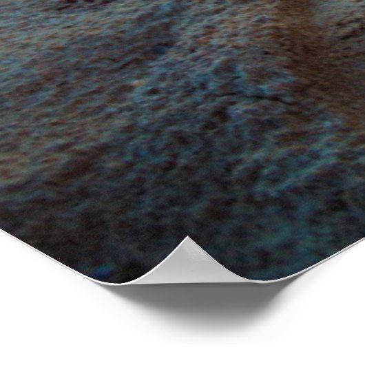 Poster Chat Assis Sur Une Plage (Coin)