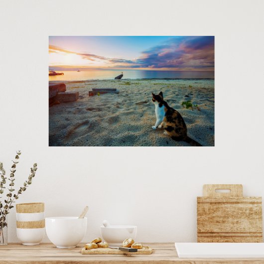 Poster Chat Assis Sur Une Plage (Cuisine)