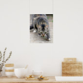 Poster chat attrapé un lézard (Cuisine)