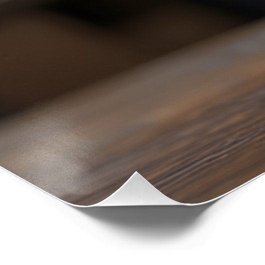 Poster Chat au gingembre (Coin)