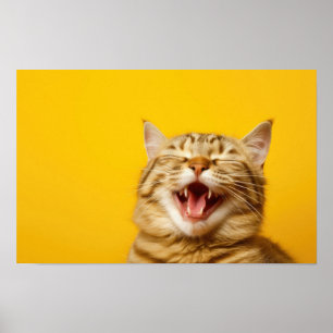 Poster Chat au gingembre de rire sur Arrière - plan Jaune