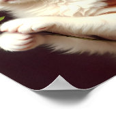 Poster Chat au gingembre mignon tenant une Rose rouge. Pe (Coin)