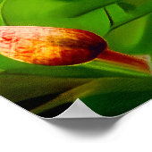 Poster Chat au mau égyptien dans un jardin de minuit (Coin)