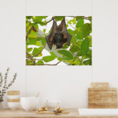 Poster Chat aux fruits (Cuisine)