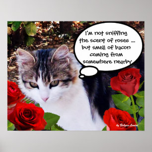 POSTER CHAT AUX ROSES ROUGES