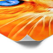 Poster Chat aux yeux bleus (Coin)