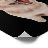 Poster Chat avec casque (Coin)