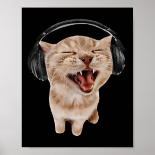 Poster Chat avec casque mème