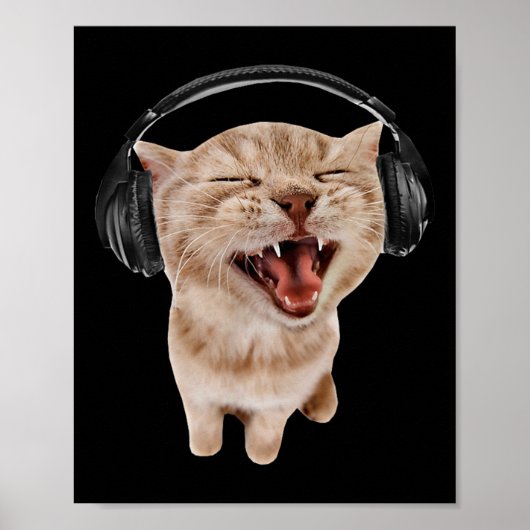 Poster Chat avec casque mème (Devant)