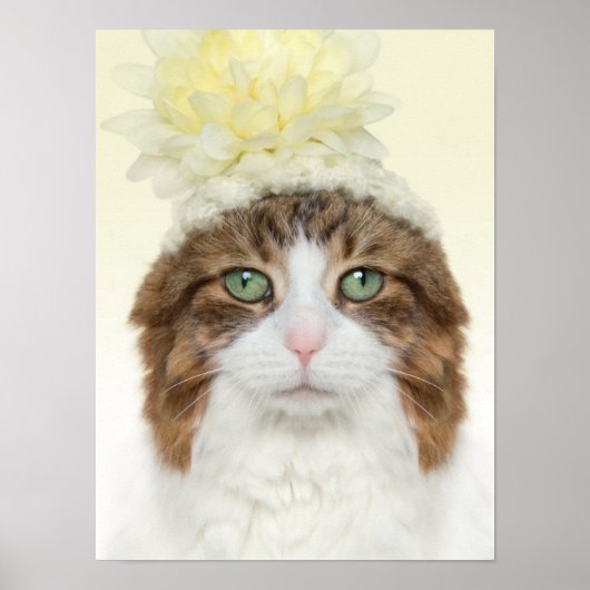 Poster Chat Avec Casquette Fleur (Devant)