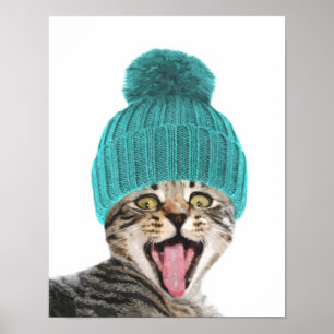 Poster Chat avec casquette joli portrait animal