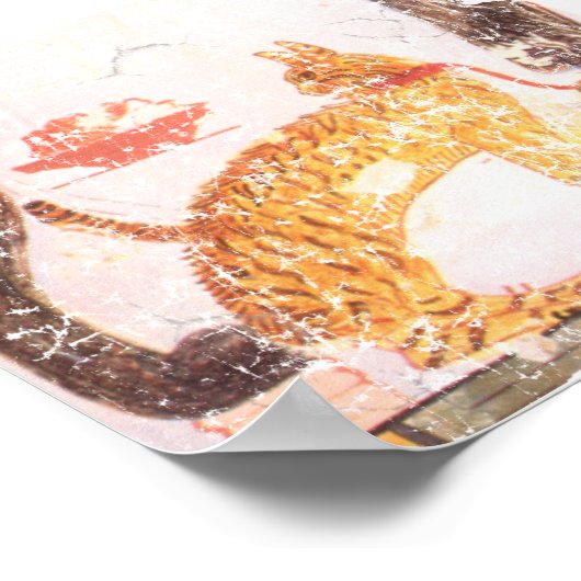 Poster chat avec col (Coin)