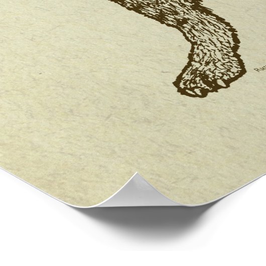 Poster Chat avec Hula Hoop (Coin)