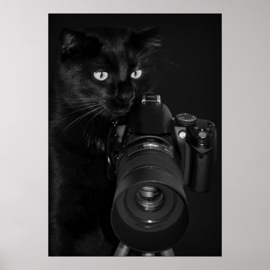 Poster Chat avec l'appareil photo (Devant)