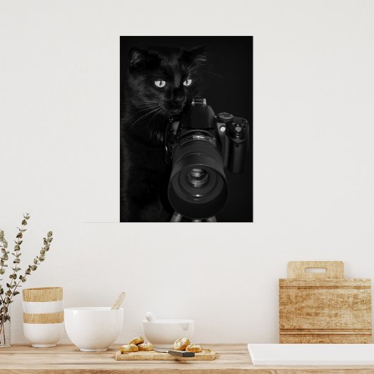 Poster Chat avec l'appareil photo (Cuisine)