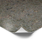 Poster Chat avec Moustache (Coin)