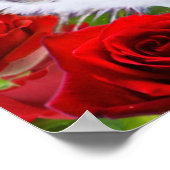 POSTER CHAT AVEC ROSES ROUGES (Coin)