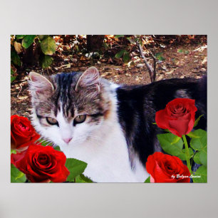 POSTER CHAT AVEC ROSES ROUGES