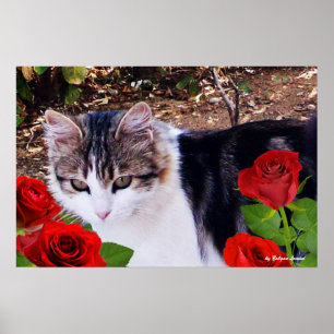 POSTER CHAT AVEC ROSES ROUGES