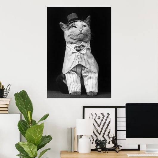 Poster Chat avec un Casquette, 1906 (Bureau à domicile)