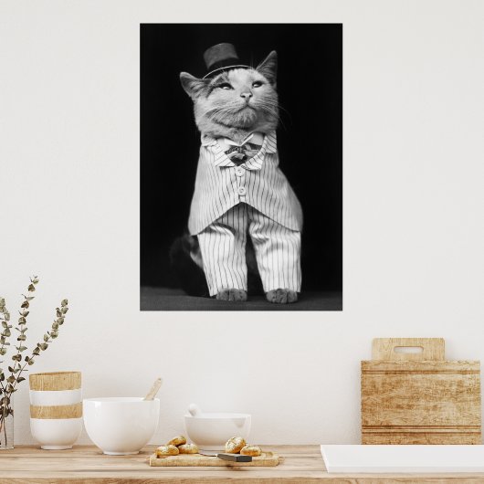 Poster Chat avec un Casquette, 1906 (Cuisine)