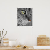 Poster chat avec yeux verts Imprimer (Cuisine)