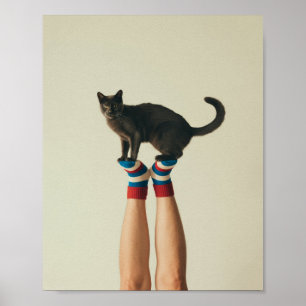 Poster Chat Balancing sur Chaussettes rayées, Chat Noir
